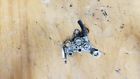 3008-630 3008-522 Supersede Tigershark Monte Carlo Daytona Oil Pump 3008-630 3008-522 Supersede Tigershark Monte Carlo Daytona Oil Pump