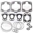 60a306 Polaris Top End Gasket