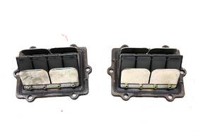5433151 Polaris 01 Virage 3-pass Reed Valves