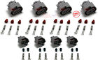 Pwc-1.8l-full-conn-kit Pwc Parts Co Yamaha Svho Spark Plug Injector Coil Connector