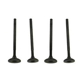 017-016-2z8 Rareelectrical Engine Valve Kit Fits Honda Trx-x 250cc 1987-1988 1991-1992 017-016