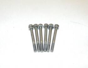 0624-213 Tigershark 1995 Daytona Spark Arrestor Bolts Oem#