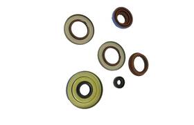 822198 Vertex Engine Oil Seal Kit Polaris Ranger 900