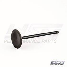 Wsm 865369011360 Intake Valve For Yamaha 150 Hp 4-stroke 11-21 120-221