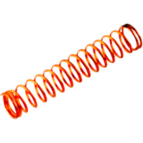 10031997 Wsm Carburetor Spring