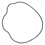 Stator Cover Gasket O-ring For Polaris 5412458 Magneto. Fixed Price $10.00.