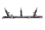 09 Sea-doo Gtx 255 Limited Fuel Injectors & Rail. Fixed Price $279.99.