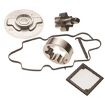 Seadoo 4-TEC Secondary Front Oil Pump Rebuild Kit Gtx Ltd Sc Wake 06-14. Fixed Price $104.95.