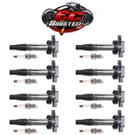 Spark Plug + High Performance Engine Ignition Coil 03-10 Jaguar Xf 4.2L V8. Fixed Price $236.53.