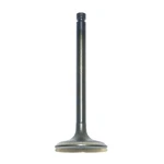 Yamaha XT600E TT600R SRX600 Grizzly Steel Intake Valve 1985-2004. Fixed Price $51.67.