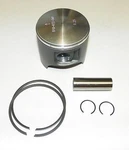 Wsm Polaris 700 Platinum Piston Kit 010-832-06PK Size 81.75MM, 2201626. Fixed Price $91.91.