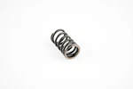 Wsm Valve Spring For Sea-doo Wake 255 1503 2009 Outer 010-030. Fixed Price $18.08.