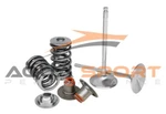 Valve (+1MM) Spring Seal & Titanium Retainer Kit Doo Rxp-x Rxt-x 250 255 260. Fixed Price $759.00.