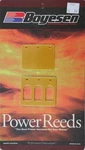 Boyesen Power Reeds For Kawasaki 650. Fixed Price $81.59.