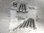 Nos Sea Doo M6X25 Allen Screws Gsx Spi Spx Xp Gti Gts Gtx 210100012 QTY10. Fixed Price $19.95.