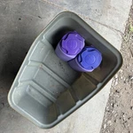 1995 Sea-doo Gtx 657 Oem Front Storage Tray Complete 269500152 JS24 Good. Fixed Price $79.95.