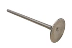 New Oem Yamaha 4WM-12111-00-00 Intake Valve Nos. Fixed Price $29.99.