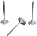 Pro-x 28.5594-2 Replacement Intake Valve Steel. Fixed Price $59.90.