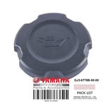 GJ3-6778B-00-00 Cap Oil Filler. Fixed Price $17.99.
