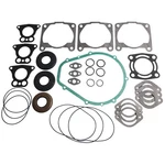 Polaris Complete Gasket Kit 5811550 5830123 5830043 Genesis Virage Tx 48-307. Fixed Price $94.95.