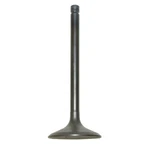 Oem Grade Intake Valve 87-14 1987-2014 Yamaha Warrior Grizzly Raptor 350 Kodiak. Fixed Price $83.34.