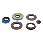 Vertex Oil Seal Set 822198. Fixed Price $48.39.