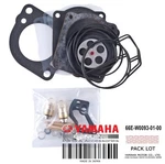 66E-W0093-01-00 Carburetor Repair. Fixed Price $249.99.