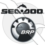 Seadoo/sea Genuine Oem Parts Bn Mikuni Carburetor/carb Repair Kit 295500833. Fixed Price $64.49.