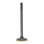 Intake Valve 2001-2008 Yamaha Raptor Grizzly Rhino 5KM-12111-00-00. Fixed Price $50.76.