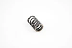 Wsm Valve Spring For Sea-doo Gtx Ltd Scic 1503 2007-2008 Outer. Fixed Price $18.08.