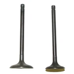 Valve Kit Engine 92-09 1983-2009 Yamaha Timberwolf Bear Tracker Bruin Big. Fixed Price $48.33.