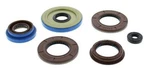 Vertex 822198 Oil Seal Set Fits Various 13-15 Polaris Rzr Ranger 900/1000. Fixed Price $46.77.