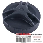 F1W-U591C-01-00 Cap Case. Fixed Price $9.99.
