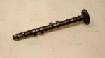 2002-03 Honda Aquatrax F-12X Oem Intake Camshaft 14110-HW1-670. Fixed Price $74.95.