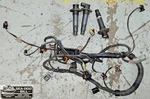 Sea Doo Rxt Gtx Rxpx Rxp-x 215 Engine Wire Wiring Harness Coils 420665205. Fixed Price $119.99.