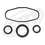 Sea-doo Rave Valve Rebuild Kit Gtxdi/rx Di/lrv Di/xpdi/sport LEDI/3D 947DI Sbt. Fixed Price $25.98.
