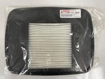 New Oem Yamaha 2008+ Air Filter Cleaner Element 6S5-E4451-00-00 6S5-E4451-01-00. Fixed Price $179.99.