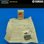 Genuine Oem 87-93 Yamaha Waverunner WR500 Intake Reed Valve Kit 6H4-W0004-00. Fixed Price $10.20.