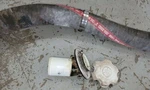 Yamaha Fuel Gas Oil Cap Lid Screw Filler Neck Cover Hose All. Fixed Price $49.99.