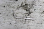 1991 Yamaha Waverunner 650 Lx Oem Fuel Air Vent Hose EU0-67856-00-00. Fixed Price $9.78.