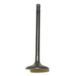 Oem Grade Intake Valve 83-09 1983-2009 Yamaha Bear Tracker Timberwolf Yfm 25. Fixed Price $82.28.