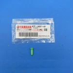 Genuine Oem 67F-14371-01 Yamaha Marine In-line Element Fuel Filter. Fixed Price $17.59.