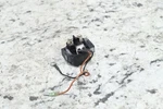 2002 Yamaha Waverunner Fx 140 Oem Starter Solenoid Relay 68N-81940-00-00. Fixed Price $29.00.