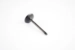 Wsm Intake Valve For Sea-doo Gtx 155 Std 1503 2014. Fixed Price $29.34.