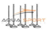 31MM Groove Inconel Exhaust Valve Set For Sea-doo 4TEC Rxp Rxt Gti. Fixed Price $265.00.