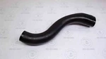 Polaris Fuel Inlet Hose 2003 2004 Msx 140 110 150. Fixed Price $18.99.