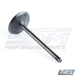 Seadoo Tec (wsm) Intake Valve Replaces Oe# 420-254-290. Fixed Price $18.71.
