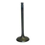 Oem Grade Intake Valve 87-02 1987-2002 Suzuki 250 Lt-f 300 King Quad Sohc. Fixed Price $81.84.