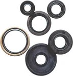 Vertex 2006 Ds 650X Bombardier Oil Seal Set 822203. Fixed Price $49.43.