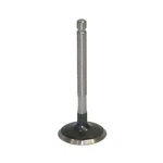 Oem Grade Intake Valve 2001-2013 Yamaha WR250F 249CC Dohc 5HP-12111-00-00 Enduro. Fixed Price $84.66.